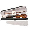 Picture of GV103 4/4 Spruce Panel Violin Matte Natural